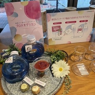 美肌作りにか欠かせないプロテオグリカンの魅力｜BEAUTY