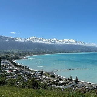 ニュージーランドの南島、カイコウラで地球の息吹を感じる｜TRAVEL