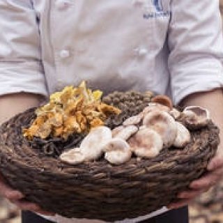 野生のきのことフォアグラを堪能するフレンチ｜Karuizawa Hotel Bleston Court