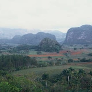 第4回　葉巻の通には違いがわかる