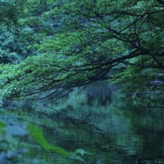 藤原美智子の「色」ものがたり第1回 6月　朝明けの青