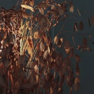 第40回　「住」にまつわる話＿秋の照明編