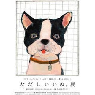 深澤直人デザインの犬鑑札ついに展示発表