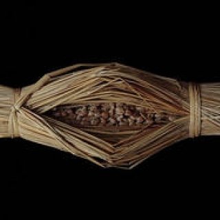 第43回　「食」にまつわる話＿食品のパッケージ編