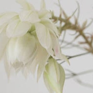 藤原美智子の「色」ものがたり第6回 11月　いま、必要なのはグレィッシュ感！？