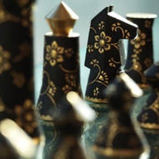 カキツバタの「め」 第一回