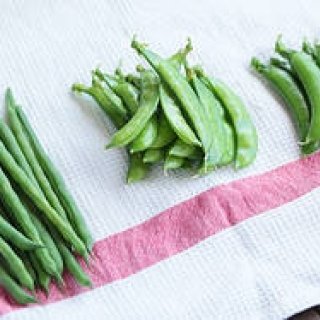 第50回　「食」にまつわる話＿春の豆編（前編）