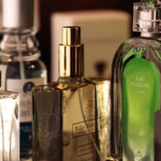 OPENERS厳選“買える”フレグランス特集