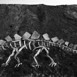 UTRECHT｜MUJI東京ミッドタウンにて、「MUJI BOOKS × MITSURU KOGA」開催中