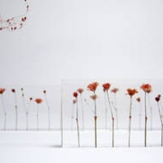 柳本浩市｜第12回 寺山紀彦氏にオランダデザインを聞く(前編)