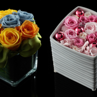 和気雅美│新連載・FloraLuxe主宰 和気雅美インタビュー