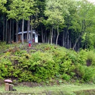 Twiggy（ツイギー）｜Vol.5　ヘアスタイリストの“お米づくり”