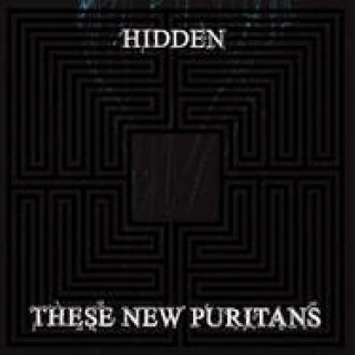 MUSIC｜THESE NEW PURITANS ニューアルバム『Hidden』
