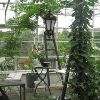 塚田有一│みどりの触知学 第5回：温室について