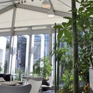 塚田有一│みどりの触知学 第6回：BMW Studio ONE＝温室について