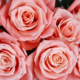 和気雅美｜ホワイトデイに、花を贈る