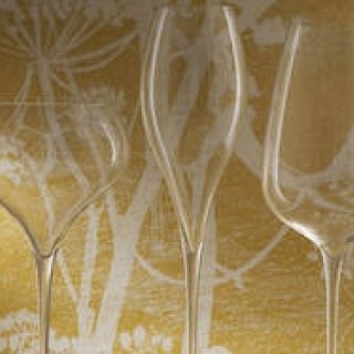 OPENERS厳選 グラス特集04 ZWIESEL｜ツヴィーゼル