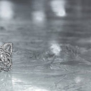 『シャネル』ハイジュエリー アンド ウォッチ コレクション一般公開