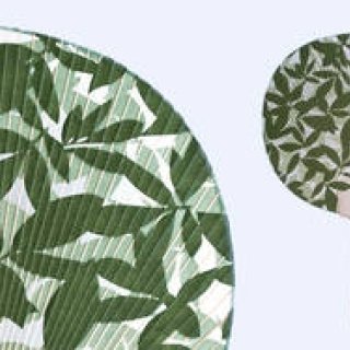 Sfera｜夏のうちわの贈りもの