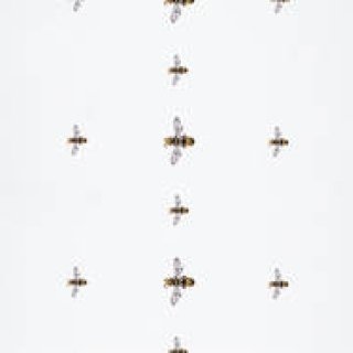 特集｜My favourite jewellery Motif ＆ Design