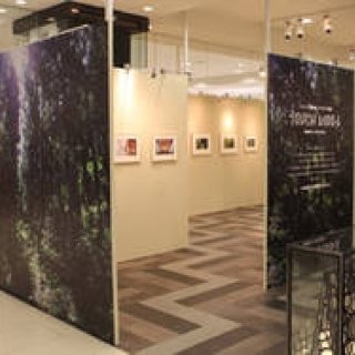 EVENT｜more treesチャリティー写真展、「TOUCH WOOD展」開催