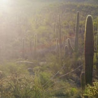 more trees｜TOUCH WOOD art project 開催