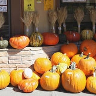 連載・Yoko Ueno Lewis｜暮らしノート・第2回 「パンプキンオレンジの街」