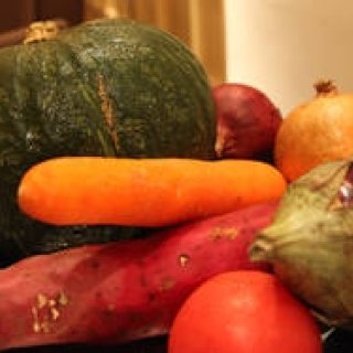 more trees｜バーニーズ　ニューヨークで愉しむ森のめぐみ