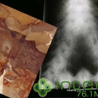 松浦俊夫｜from TOKYO MOON 11月28日 ON AIR サイモン・テイラー来日！