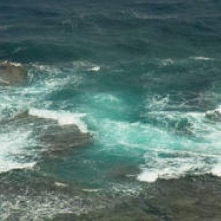 シンジョウコウジ × リコーCX4 「ふとした瞬間、見えるもの」