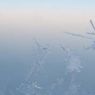 リコー｜川内倫子（写真家）×リコーGXR＋S10