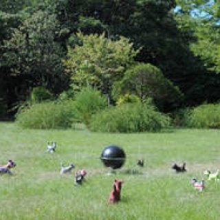 INTERVIEW｜写真家 堀 清英　写真集『いぬまるけ　Dogs…anywhere』刊行