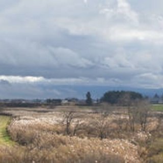 RICOH｜鶴田真由（女優）×リコーGXR+A12