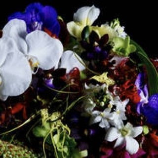 EVENT｜菊地成孔×南 博×東 信による夢の共演！　「LAFORET SOUND MUSEUM 2011」