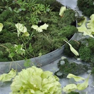 連載・塚田有一│みどりの触知学 第11回 花を生けた。活けた。埋けた