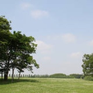 松浦俊夫｜思わず身体も軽くなる、美しい季節を楽しもう！