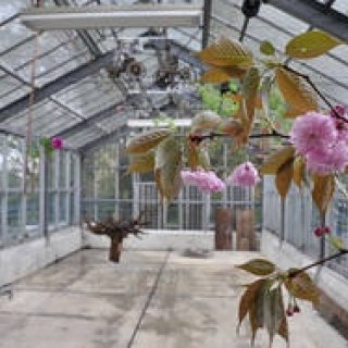 連載・塚田有一│みどりの触知学 第12回 ゆく春の読書室