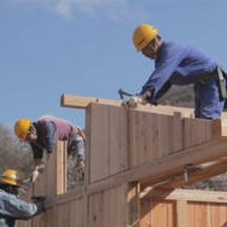 more trees｜被災地支援プロジェクト「LIFE311」を立ち上げ