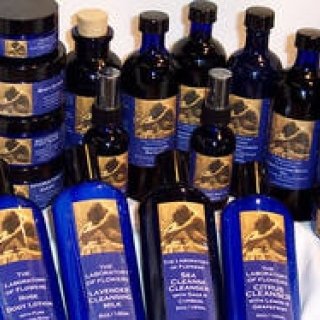 Munemi｜マイケル・スコール「Aromatic Recovery workshop」開催