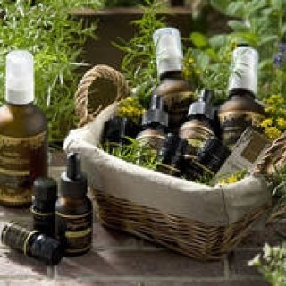 Organique｜奇跡のフルーツ“アサイー”配合「アサイースキンケアシリーズ」