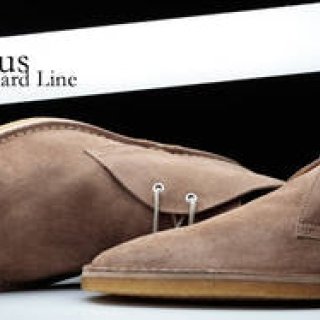 Bucchus｜ニュースタンダードライン登場！