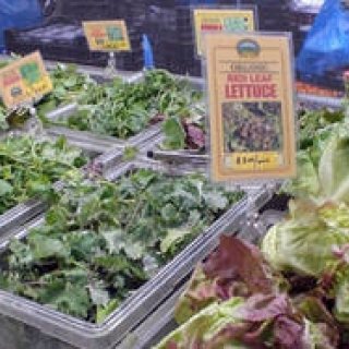 Munemi｜Munemi meet Rajaa Chbani - Part 2「Eat healthy, live well, be beautiful inside out.」