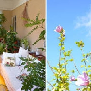 連載｜藤原美智子｜やはり、自然から教わることはたくさんある！