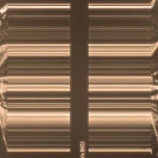 Diary-T 118 Men's BIGI