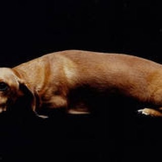 島田 明｜Life is Edit. #027 相棒MAXが教えてくれたこと