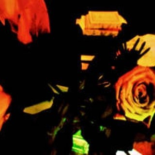 Diary-T 132 一時預かり