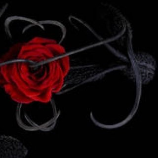 ヘルムート ラングと東信氏のコラボレーション企画第2弾！｜HELMUT LANG