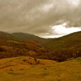 Diary-T 155 中洞牧場へ　その一