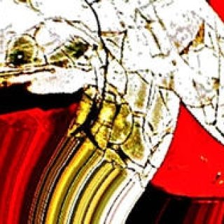 Diary-T 151 日本人ってめちゃかっこいい。