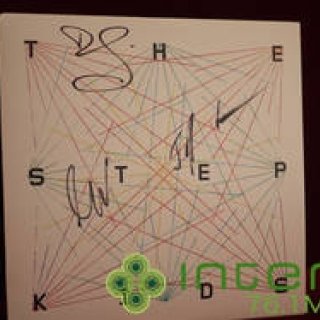 松浦俊夫｜ステップキッズ＆ピーナッツ・バター・ウルフ来日インタビュー！